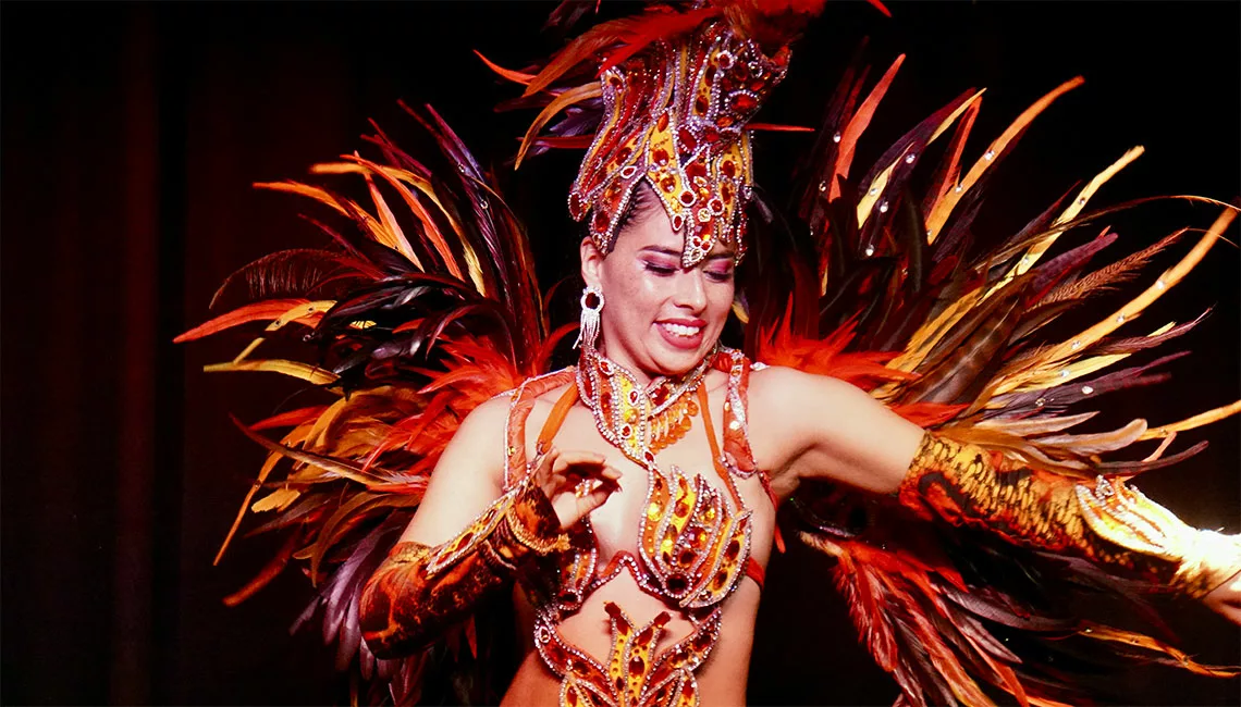 artiste, cabaret, velvet house, burlesque